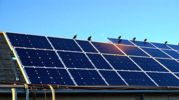 5 astuces incontournables pour maximiser vos panneaux solaires
