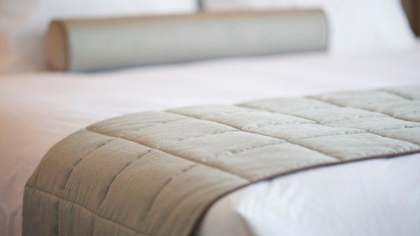 Les dangers des puces pour la santé humaine et animale